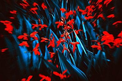 《刺客信条：影》引擎给力 能实现更强大光影＆天气效果